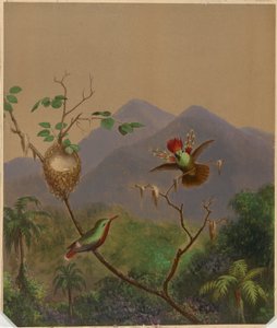  द्वारा मार्टिन जॉनसन हेडे